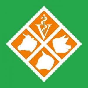 ������������ ��� �������������� � ������������ - ����������� 1