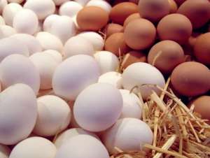 ������������ ���� (10 ���./�����) - ����������� 1