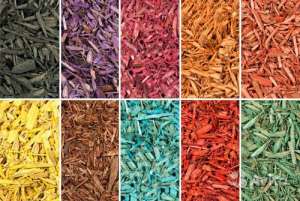 ������������ ���� � ������������ - ����������� 1