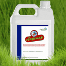 ������������ ���� ��. �������� - �������/�������