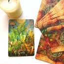 ������������ ���� ������. ����������� ������. - ����������� 2