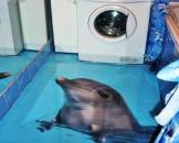 ������� � ����������: ������������ ����. �������� ������������ 3� ����.