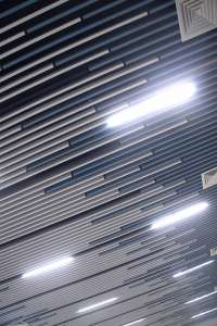 ������������ ����� - ����������� 1