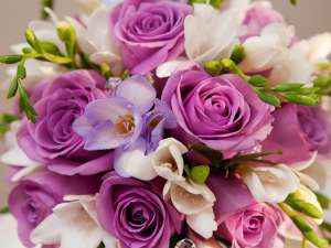 ������������ ����� � ����� �� ����� - ����������� 1