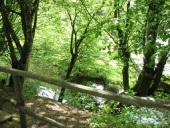 ������������ ����� � ����������! - ����������� 2