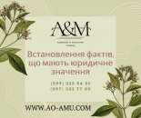 ������� � ����������: ������������ �����, �� ����� �������� ��������