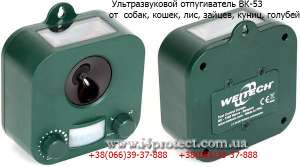 ������������ �����, ���, ������, ����, �� ����� �������� ������ �� ��������� �������� - ����������� 1