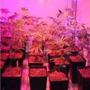 ������� � ����������: ������������ ����� ��� ��������