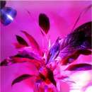 ������������ ����� ��� �������� - ����������� 3