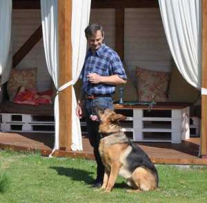 ������������ �����, ������ ������������, �������� �������� - ����������� 1