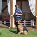 ������� � ����������: ������������ �����, ������ ������������, �������� ��������