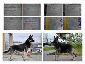 ������������ ����� ������� � ����������� (������ 6 �������) - ����������� 1