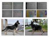 ������� � ����������: ������������ ����� ������� � ����������� (������ 6 �������)