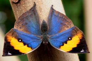 ������������ ����� ������� ������� ����� - ����������� 1