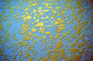 ������������ ����� �������� �� ���������� ����������, ������������ �������� ���� - ����������� 1