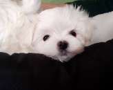 ������������ ����� �������� ��� ���� � ����� - ����������� 3