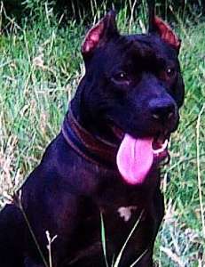 ������������ ����� ������������� ���-����������� - ����������� 1