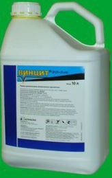 ������������ ������ - ����������� 1