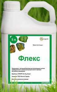 ������������ ������ xl - ����������� 1