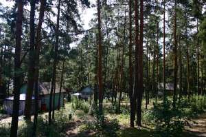 ������������ ������ ���� ������, 6��, �������� - ����������� 1