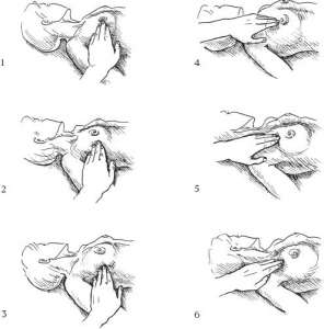 ������������ ������ ����� ��� ��������� ��������, �� ���������� � ��� ��������� - ����������� 1