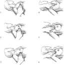 ������������ ������ ����� ��� ��������� ��������, �� ���������� � ��� ��������� - ����������� 1