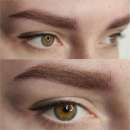 ������� � ����������: ������������ ������ ������ � ��������