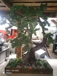 ������������ ������ ������ �/� - ����������� 1