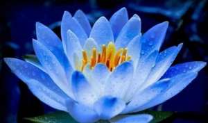 ������������ ������ ������ ������ - ����������� 1