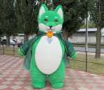 ������������ ������ �������� - ������� ��� ������ 240 �� 4 ���� ������ - ����������� 2