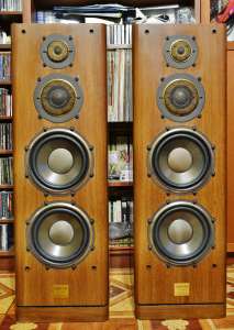 ������������ ������� Diatone DS-1000C Grandia. - ����������� 1