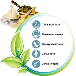 ������������ ������� � ����� (������). �����������. ���������� �������. - ����������� 1