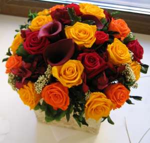 ������������ �������! � ����� ������� ����� ������� 5 ���! - ����������� 1