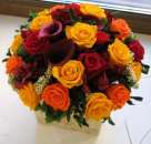 ������� � ����������: ������������ �������! � ����� ������� ����� ������� 5 ���!