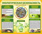 ������� � ����������: ������������ ������� � ������� � ��������������