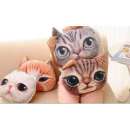 ������������ ������� � ����������. ��� ��� ���� - �������/�������