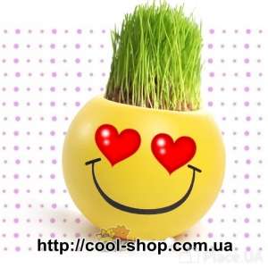 ������������ ������� �� 14 �������, ������ ������� ����� �� 14 ������� - ����������� 1