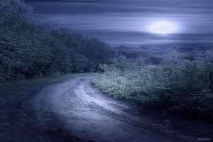 ������������ ������� �� ���� � �������� - ����������� 1