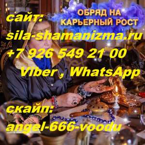 ������������. ������� �� ������������ ����������� ������ ����, ��������� ����������, ������ ������, �����, ���������, "����� �� - ����������� 1