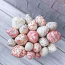 ������� � ����������: ������������ ������� ���� . ����� �� ��������