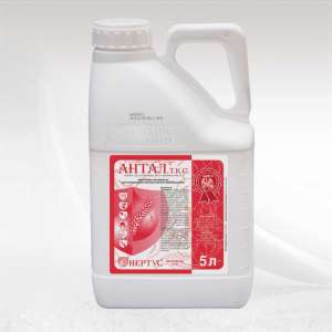 ������������ ������� ����� - ����������� 1