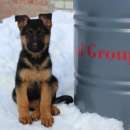 ������������, ������� ����� �������� ������� ���/FCI. �������� �������� - �������/�������