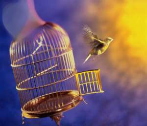 ������������ ������� ��������� - ����������� 1