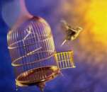 ������������ ������� ���������. �����, ������� � ����������� - ������