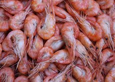 ������������ ��������! - ����������� 1