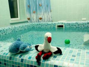 ������������ ��������. - ����������� 1