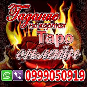 ������������ �������� - ����������� 1