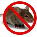 ������������ ��������.