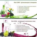 ������������ �������� Rain Soul and Core (���� ���� � ���) - ����������� 2