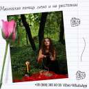 ������� � ����������: ������������ �������� � �����. ������ ���� ����.